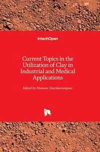 Current Topics in the Utilization of Clay in Industrial and Medical Applications