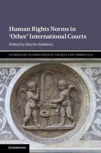 Human Rights Norms in 'Other' International Courts