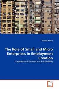 The Role of Small and Micro Enterprises in Employment Creation