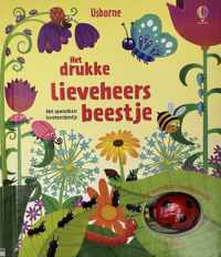 Drukke lieveheersbeestje