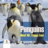 Penguins - Meet Mr. Flappy Feet