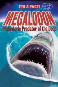 Megalodon