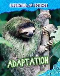 Adaptation