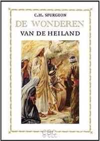 De wonderen van de heiland