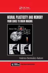 Neural Plasticity and Memory