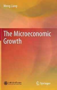 The Microeconomic Growth