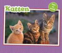 Vertel Maar  -   Katten