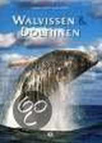 Walvissen En Dolfijnen