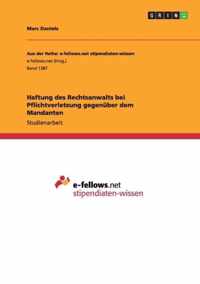 Haftung des Rechtsanwalts bei Pflichtverletzung gegenuber dem Mandanten