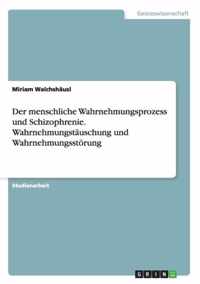 Der menschliche Wahrnehmungsprozess und Schizophrenie. Wahrnehmungstauschung und Wahrnehmungsstoerung