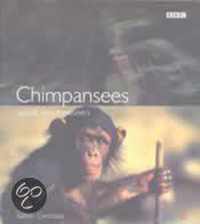 Chimpansees