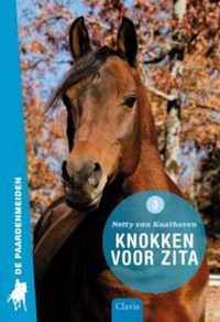 De paardenmeiden 3 -   Knokken voor Zita