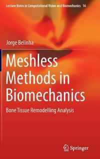 Meshless Methods in Biomechanics