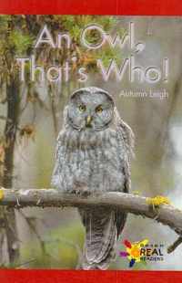 An Owl, That's Who!