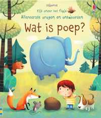 Wat is poep ?