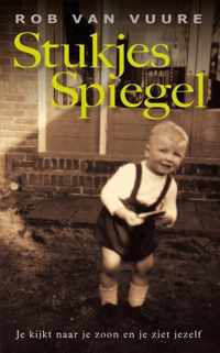 Stukjes spiegel