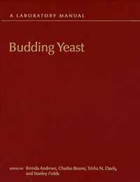 Budding Yeast