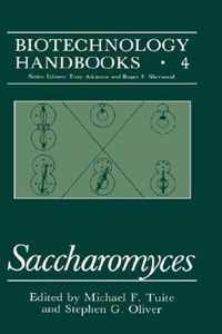 Saccharomyces