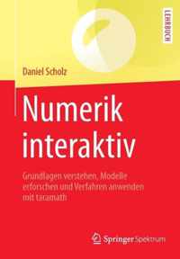 Numerik Interaktiv