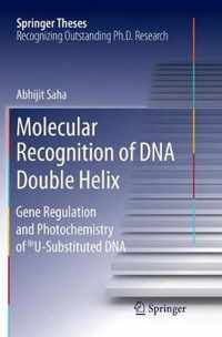 Molecular Recognition of DNA Double Helix