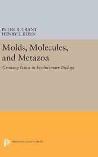 Molds, Molecules, and Metazoa - Growing Points in Evolutionary Biology