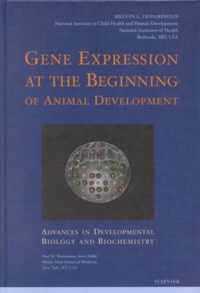 Gene Expression at the Beginning of Animal Development