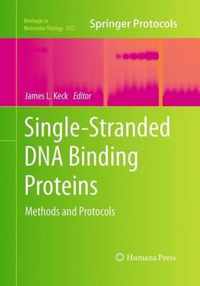 Single-Stranded DNA Binding Proteins