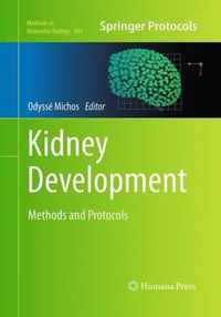 Kidney Development