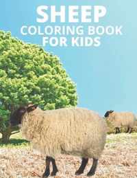 Sheep Coloring Book For Kids