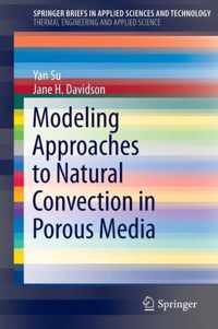 Modeling Approaches to Natural Convection in Porous Media