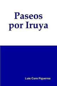 Paseos por Iruya