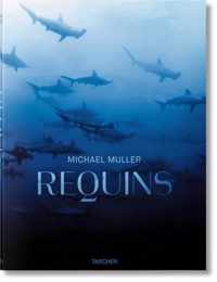 Michael Muller. Requins