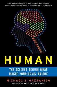 Human