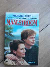 Maalstroom