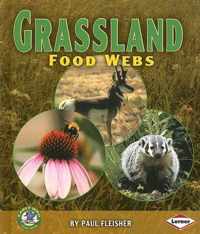 Grassland Food Webs