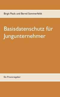 Basisdatenschutz fur Jungunternehmer