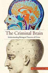 The Criminal Brain