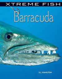 Barracuda