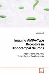 Imaging AMPA-Type Receptors in Hippocampal Neurons