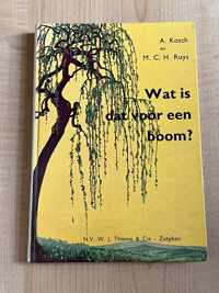 Wat is dat voor een boom