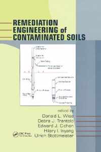 Remediation Engineering of Contaminated Soils