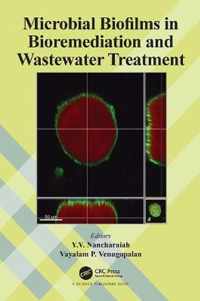 Microbial Biofilms in Bioremediation and Wastewater Treatment