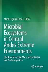 Microbial Ecosystems in Central Andes Extreme Environments