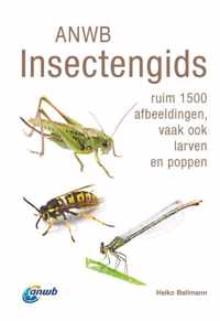 ANWB natuurgidsen  -   ANWB Insectengids