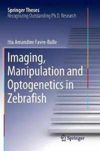 Imaging, Manipulation and Optogenetics in Zebrafish