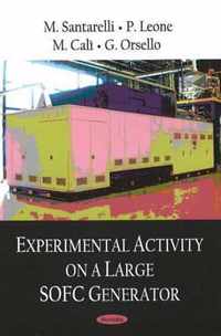 Experimental Activity on a Large SOFC Generator