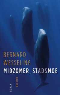 Midzomer, stadsmoe