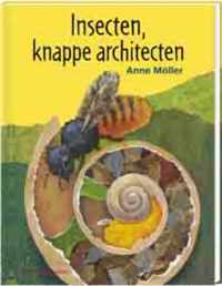 Insecten knappe architecten