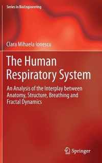 The Human Respiratory System: An Analysis of the Interplay Between Anatomy, Structure, Breathing and Fractal Dynamics