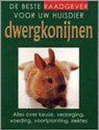 Dwergkonijnen